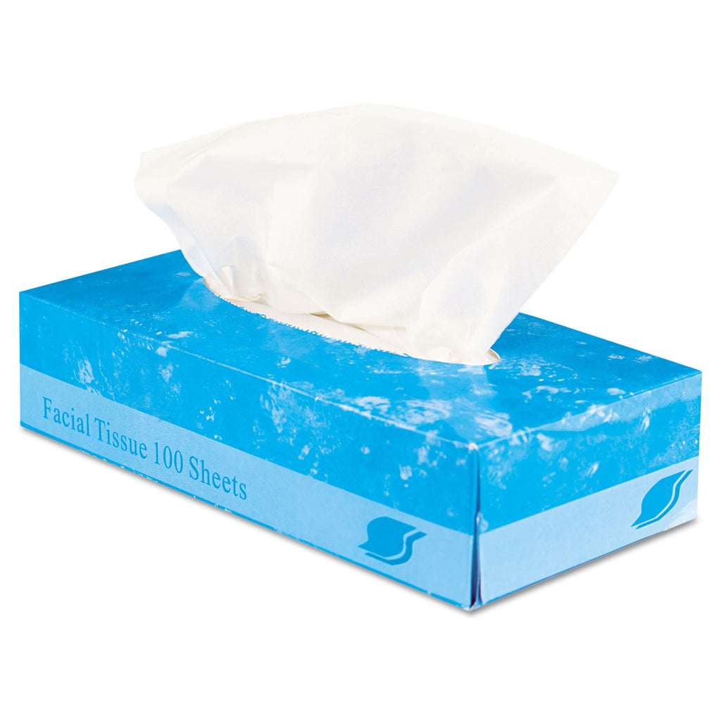 GEN Boxed Facial Tissue, 2-Ply, White, 100 Sheets/Box, 30 Boxes/Carton