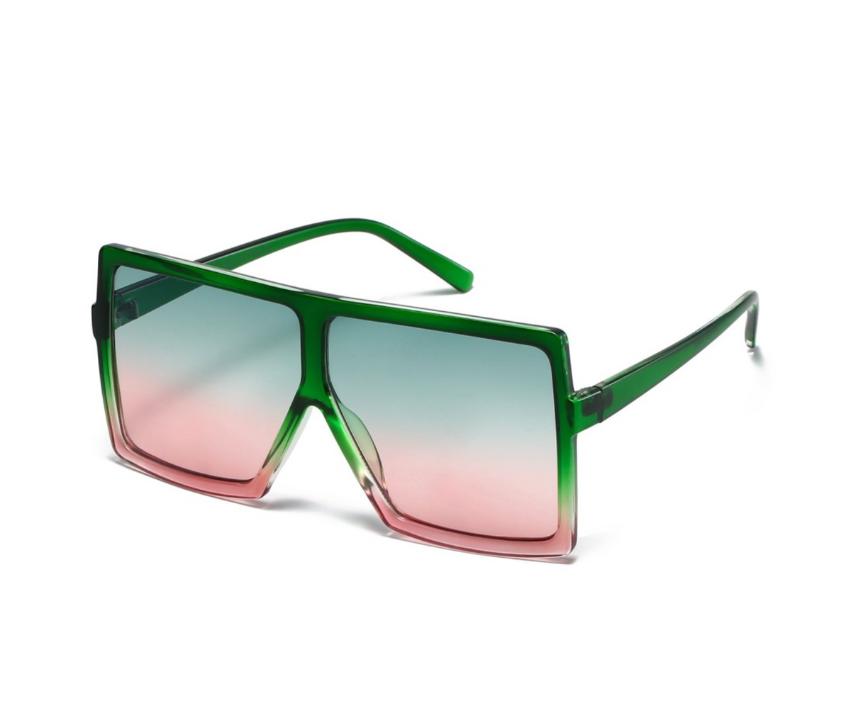 Sunglasses: Style 1669