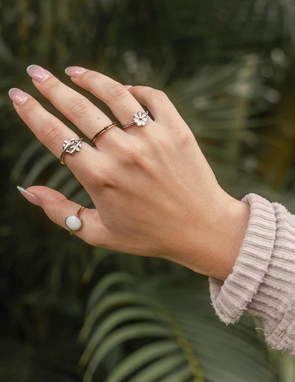 Anillo Rama de Olivo